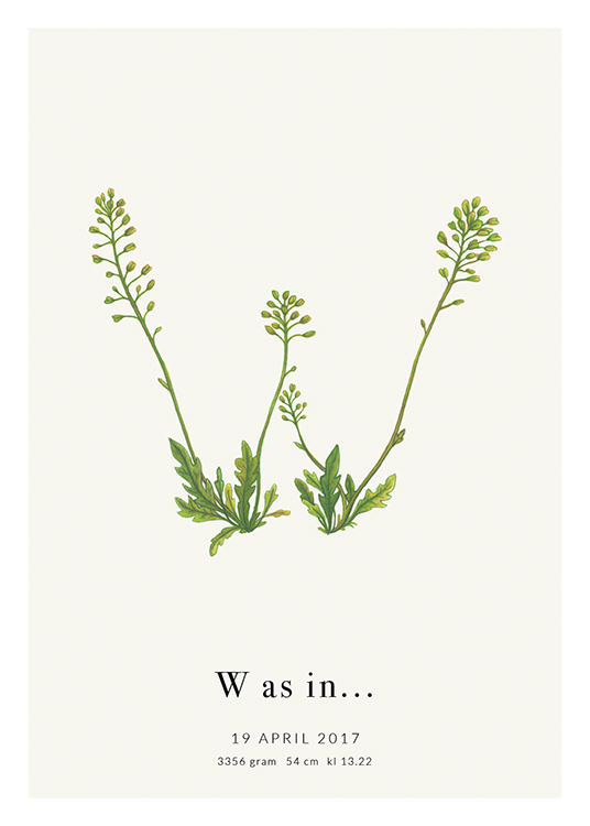 Botanic Letter W Personal Affiche