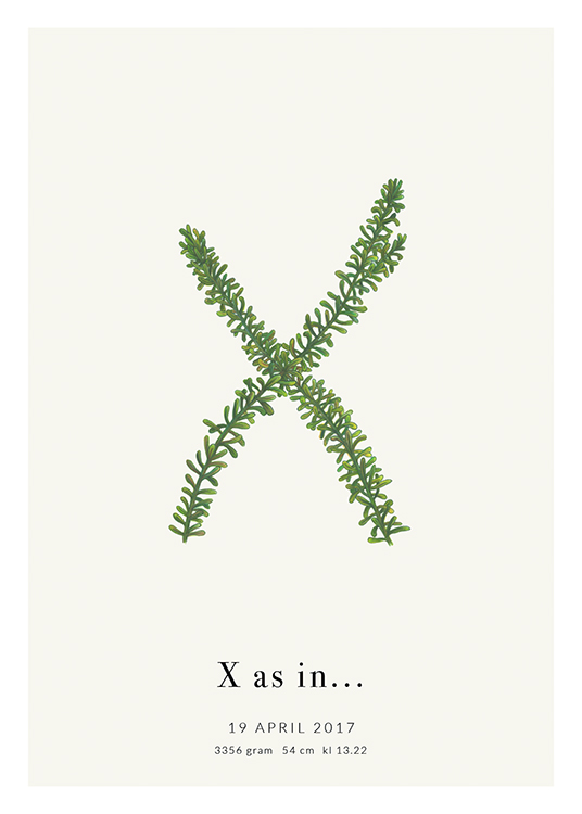 Botanic Letter X Personal Affiche