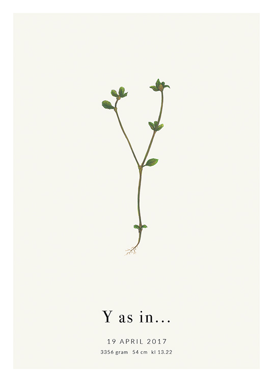 Botanic Letter Y Personal Affiche
